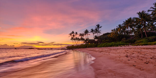 https://www.andrewshoemaker.com/images/640/palauea-beach-palms-sunset.jpg